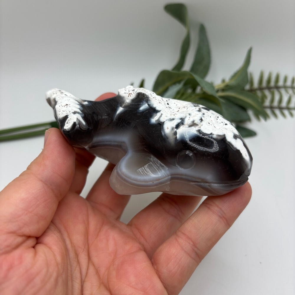 Orca Agate Orca (B)